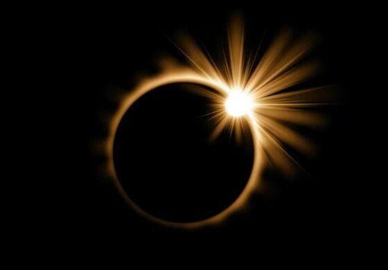 What if Sun goes dark? Experts examine deadly reality behind upcoming sci-fi film