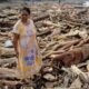 Southeast Asia storm deaths near 700 as scale of disaster revealed