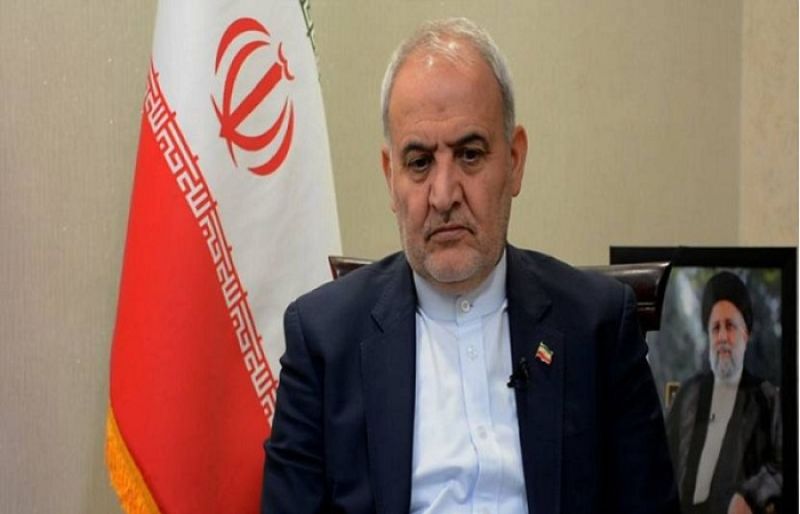 Pakistan took a bold step by voting against the anti-Iran resolution: Iranian Ambassador