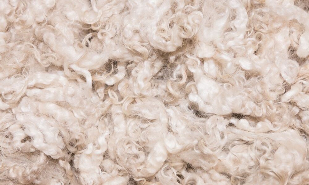 Australian wool prices climb again as exporters drive demand