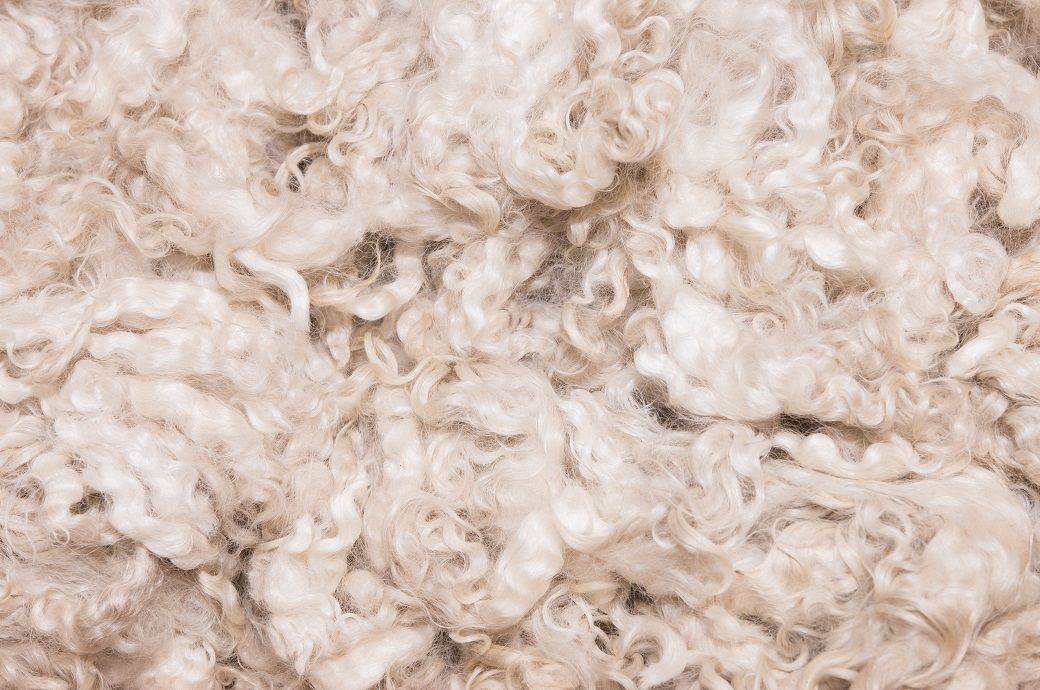 Australian wool prices climb again as exporters drive demand