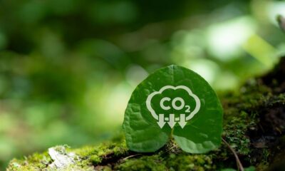 China’s textile sector needs .8 bn to halve emissions by 2030