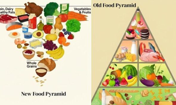 Does new US food pyramid put too much steak on your plate?