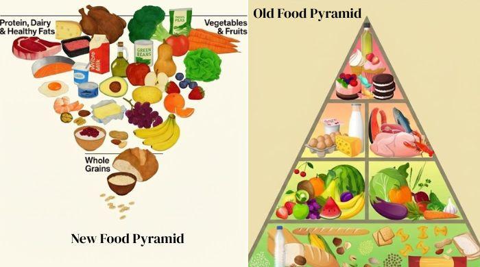 Does new US food pyramid put too much steak on your plate?