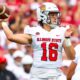 FCS national championship preview: Illinois State, Montana State starving for title