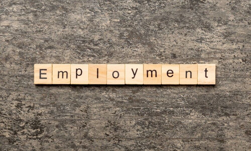 Germany’s employment steady at 46 mn in November 2025