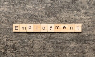 Germany’s employment steady at 46 mn in November 2025