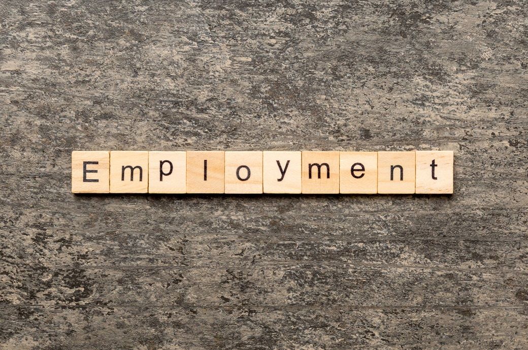 Germany’s employment steady at 46 mn in November 2025