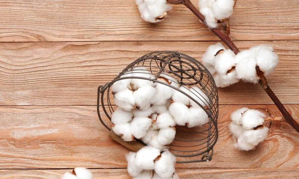 ICE cotton edges higher on stable demand, lower production outlook