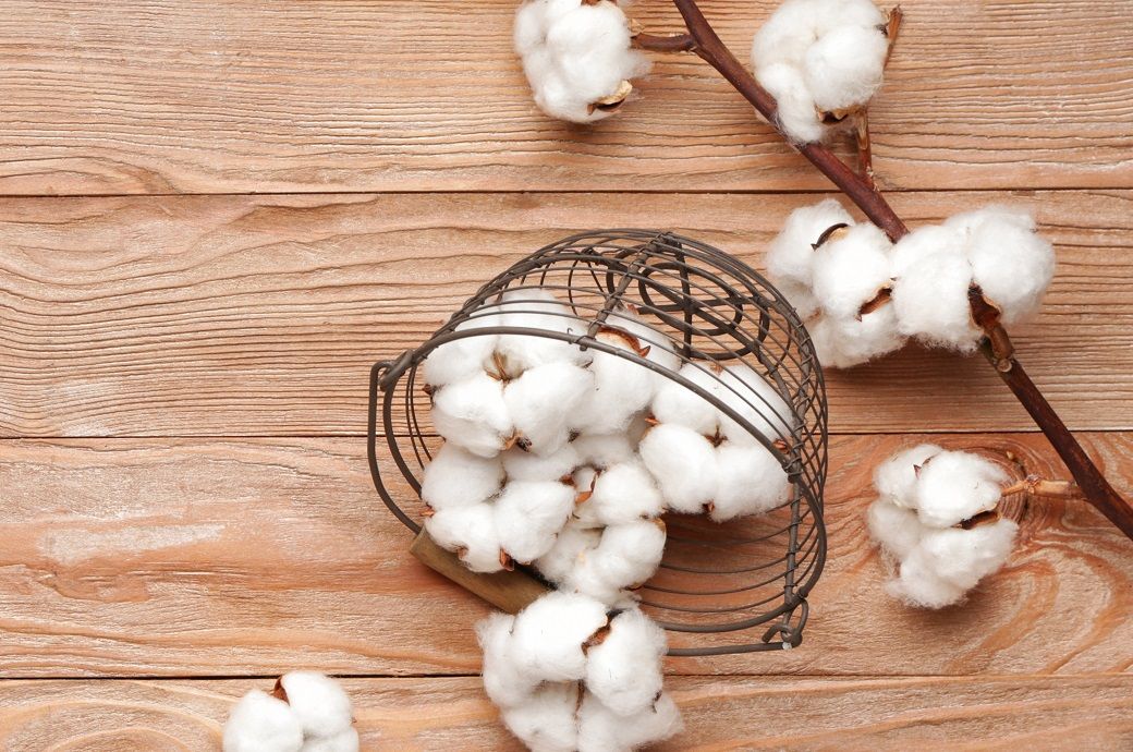 ICE cotton edges higher on stable demand, lower production outlook