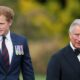King Charles quietly signals hope of a Harry reunion