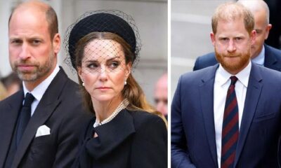 Prince William, Princess Kate new fears confirm Harry’s bold concerns