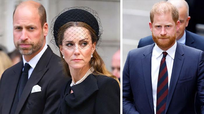 Prince William, Princess Kate new fears confirm Harry’s bold concerns