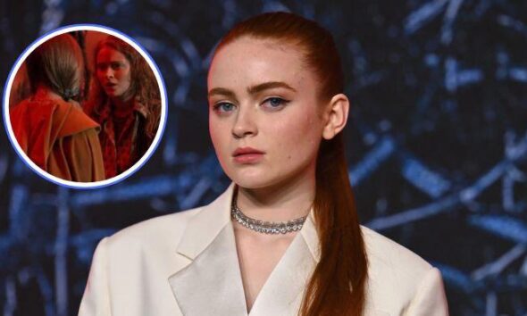 Sadie Sink finally breaks silence on viral ‘Stranger Things’ scene