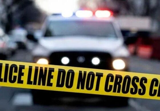 Six killed in Mississippi shooting, suspect in custody