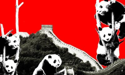 Why Everyone Is Suddenly in a ‘Very Chinese Time’ in Their Lives