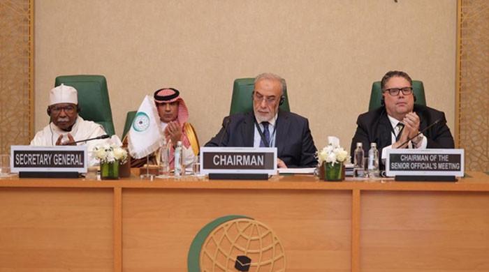 OIC terms Israel’s recognition of Somaliland illegal, warns against displacing Palestinians