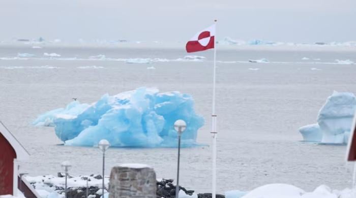 Nordics reject Trump’s claim of Chinese, Russian ships around Greenland: FT