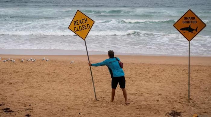 Sydney shuts beaches after fresh shark attack
