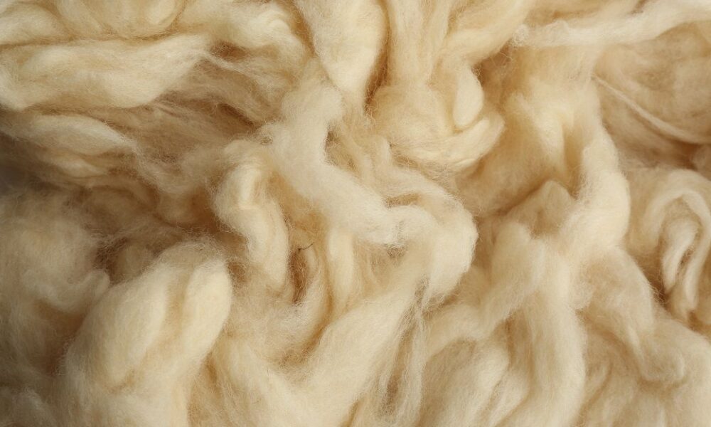 Australian wool prices climb this week as cardings lead rally