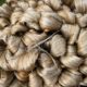 Bangladesh Bank extends raw jute exporters’ loan rescheduling period