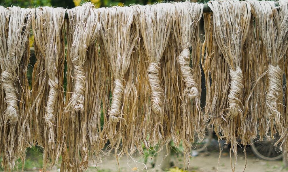 Bangladesh commerce minister seeks Chinese investment in jute sector