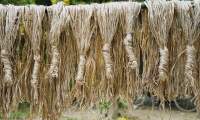 Bangladesh commerce minister seeks Chinese investment in jute sector