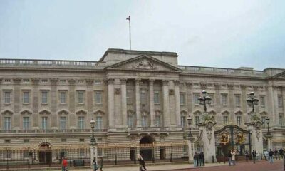 Buckingham Palace shares delightful news for Britons