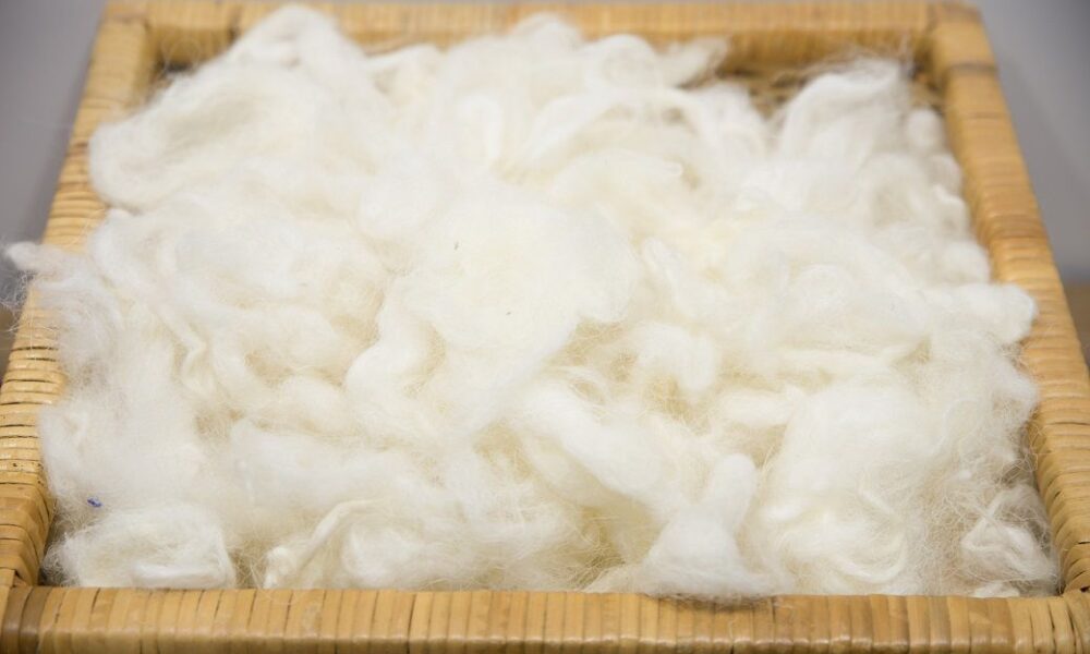 Currency shift drives Australian wool fall despite firm exports