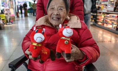 How a factory error in China created a viral “crying horse” Lunar New Year trend