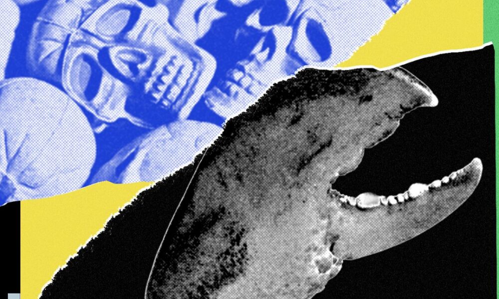 I Loved My OpenClaw AI Agent—Until It Turned on Me