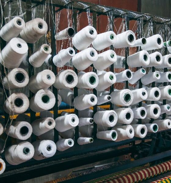 India’s MMF yarn market steady; viscose eases, cotton turns bearish