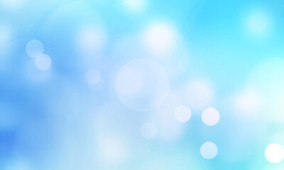 Japan’s apparel imports dip 6.9% to .2 billion in January 2026