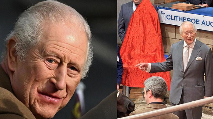 King Charles silent on Epstein question as crowd shouts ‘kick him out’