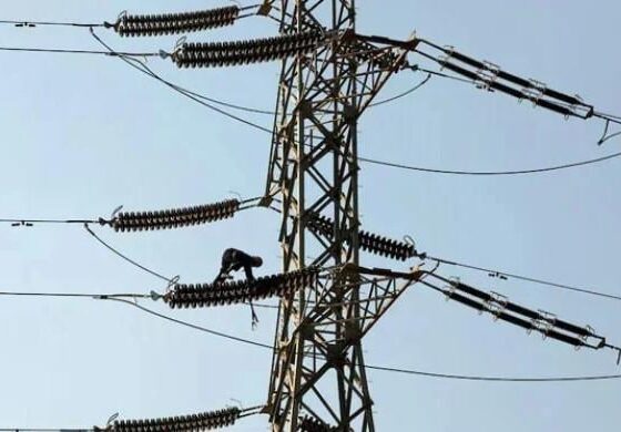Nepra imposes fixed charges on domestic consumers using up to 300 units