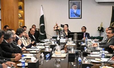 Senate panel declares PIFD meeting null and void for malafide intent, rule violations