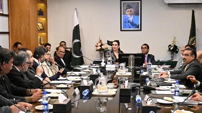 Senate panel declares PIFD meeting null and void for malafide intent, rule violations