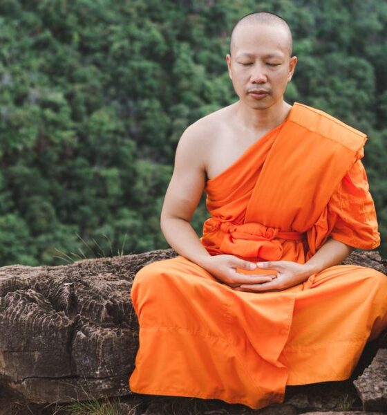 Study of Buddhist Monks Finds Meditation Alters Brain Activity