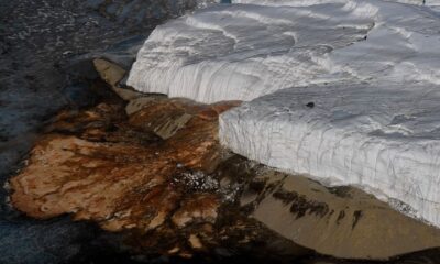 The Last Mystery of Antarctica’s ‘Blood Falls’ Has Finally Been Solved