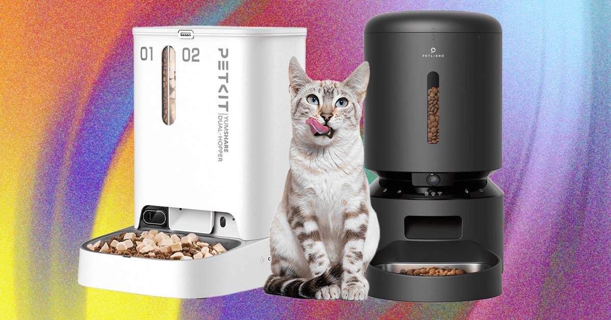 These WIRED-Tested Automatic Pet Feeders Are the Cat’s Meow