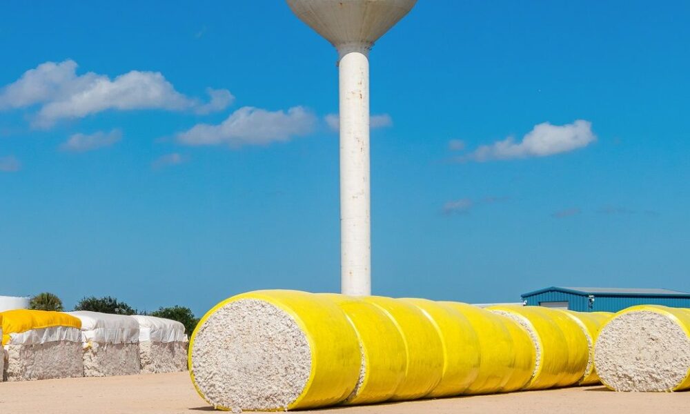 US Upland cotton exports increased but Pima notably down: USDA