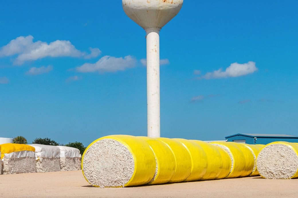 US Upland cotton exports increased but Pima notably down: USDA