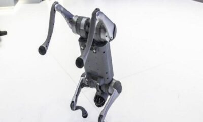 Indian university faces backlash for claiming Chinese robodog as own at AI summit