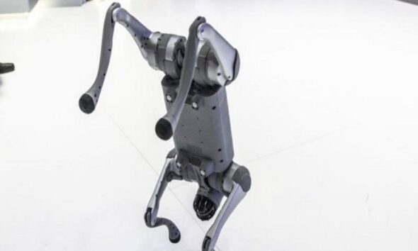 Indian university faces backlash for claiming Chinese robodog as own at AI summit