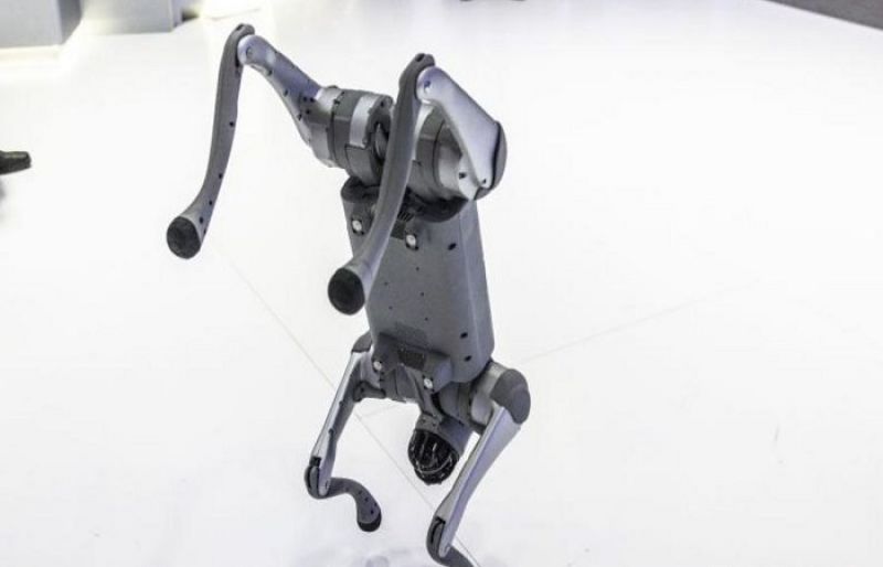 Indian university faces backlash for claiming Chinese robodog as own at AI summit