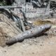 Gulf media report deadly thermobaric bomb used by Israel in Gaza War