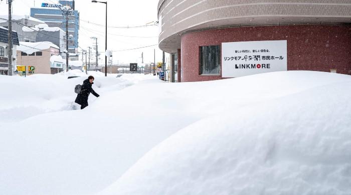 Death toll from heavy Japan snow hits 30