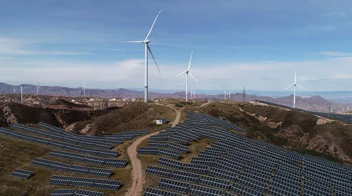 Solar, wind capacity growth slowed last year, analysis shows