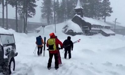 Eight skiers confirmed dead in California avalanche, one still missing
