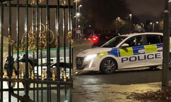 British Pakistani teenager stabbed to death outside mosque